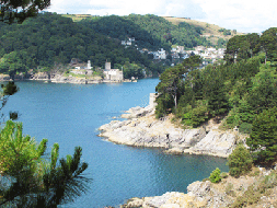 River Dart Estuary